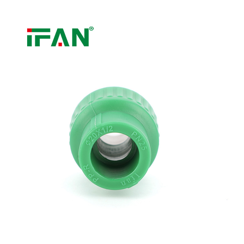 IFAN Manufacturer Wholesale Stainless Steel Pipe Fittings Male Thread Socket Pipe Fittings Hot Selling EN 15874 PPR Water Fitting