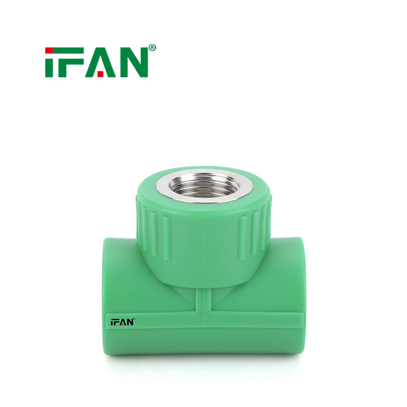 IFAN Manufacturer Wholesale Stainless Steel Pipe Fittings Male Thread Socket Pipe Fittings Hot Selling EN 15874 PPR Water Fitting - Gallery Image 8